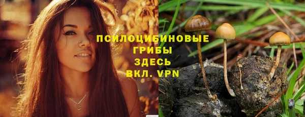 прущий лед Белоозёрский